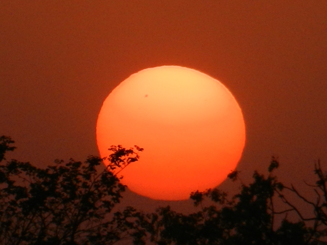472_India_Alipura_Sunset.JPG - 