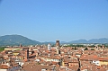 070_Italien_Toskana_Lucca_Torre_Guinigi