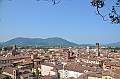 073_Italien_Toskana_Lucca_Torre_Guinigi