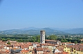 076_Italien_Toskana_Lucca_Torre_Guinigi