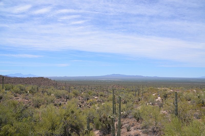 009_USA_Arizona_Sonora_Desert_Museum.JPG
