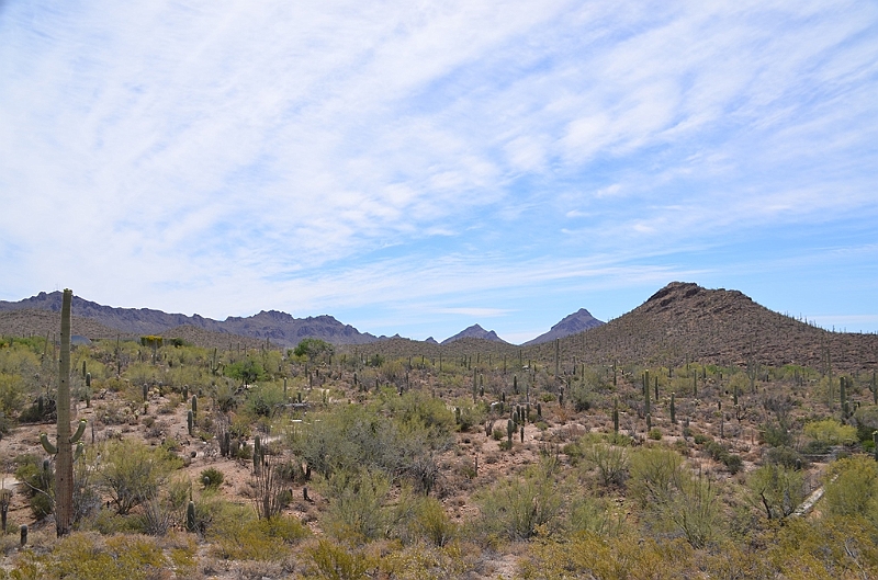 011_USA_Arizona_Sonora_Desert_Museum.JPG
