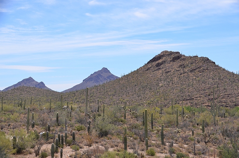 012_USA_Arizona_Sonora_Desert_Museum.JPG