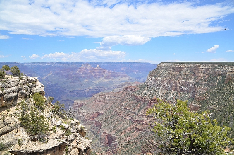 537_USA_Grand_Canyon_National_Park.JPG