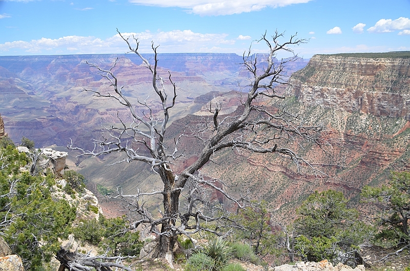 543_USA_Grand_Canyon_National_Park.JPG