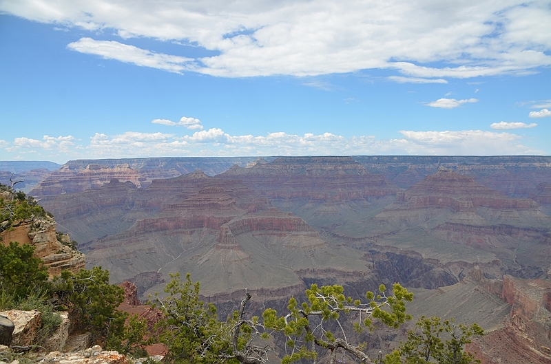 564_USA_Grand_Canyon_National_Park.JPG