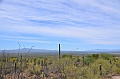 001_USA_Arizona_Sonora_Desert_Museum