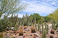 019_USA_Arizona_Sonora_Desert_Museum