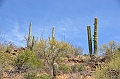 056_USA_Saguaro_National_Park