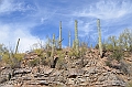 058_USA_Saguaro_National_Park
