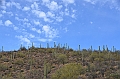 062_USA_Saguaro_National_Park