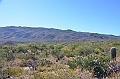 063_USA_Saguaro_National_Park