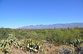 065_USA_Saguaro_National_Park