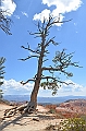 339_USA_Bryce_Canyon_National_Park