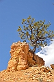 342_USA_Bryce_Canyon_National_Park
