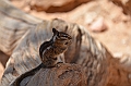 354_USA_Bryce_Canyon_National_Park