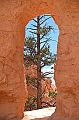 363_USA_Bryce_Canyon_National_Park