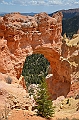 392_USA_Bryce_Canyon_National_Park