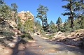 410_USA_Bryce_Canyon_National_Park