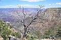 543_USA_Grand_Canyon_National_Park